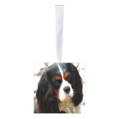 Beeltenis: A King Charles Cavalier Spaniel Kubus Ornament (Rechts)