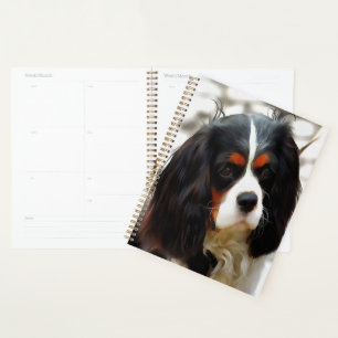 Beeltenis: A King Charles Cavalier Spaniel Planner