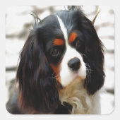 Beeltenis: A King Charles Cavalier Spaniel Vierkante Sticker (Voorkant)