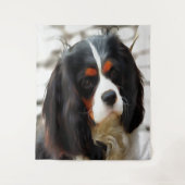 Beeltenis: A King Charles Cavalier Spaniel Wandkleed (Voorkant)
