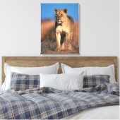 Beeltenis: Lioness (Panthera Leo) Canvas Afdruk (Insitu (Slaapkamer))