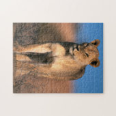 Beeltenis: Lioness (Panthera Leo) Legpuzzel (Horizontaal)