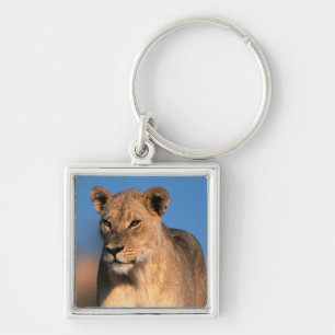 Beeltenis: Lioness (Panthera Leo) Sleutelhanger