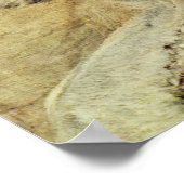 Beeltenis: Sarah Bernhardt Poster (Hoek)