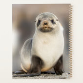 Beeltenis: Seal Pup on the Beach Planner (Achterkant)