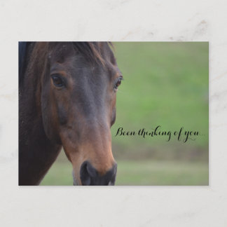 Been thinking of you... briefkaart