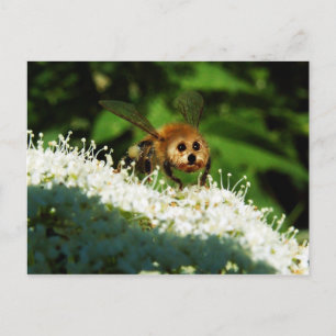 Beeog Briefkaart