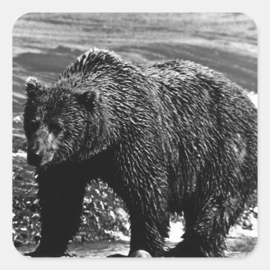 beer 1970, VS Alaska brown Vierkante Sticker (Voorkant)