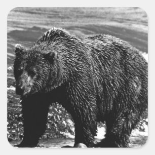  beer 1970, VS Alaska brown Vierkante Sticker