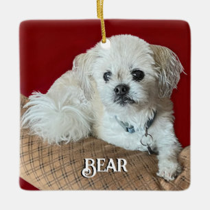 Beer de Malshi Ontspannen Keramisch Ornament