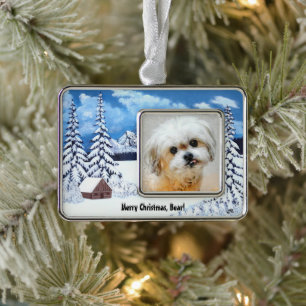 Beer de Malshi Winter WonderOrnament Verzilverd Kader Ornament