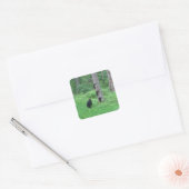 Beer & drie welpen vierkante sticker (Envelop)