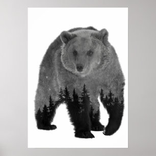 Beer Dubbele Belichting Bos Bomen Nacht Poster