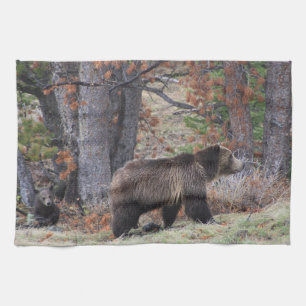 Beer en beugel in Yellowstone Kitchen Towel Theedoek