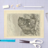  Beer Ephemera-ontkoppeling Tissuepapier (Craft)