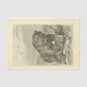 Beer Ephemera-ontkoppeling Tissuepapier