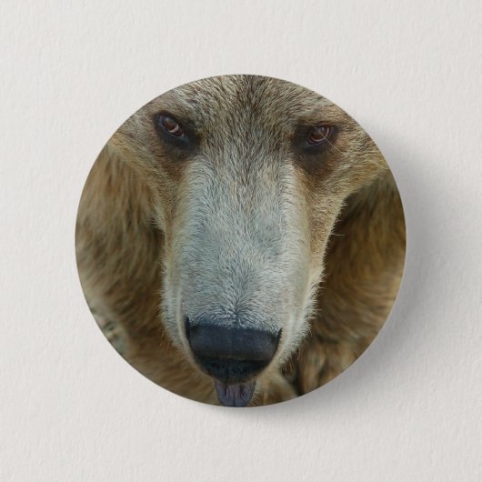 Beer Flair Ronde Button 5,7 Cm (Voorkant)