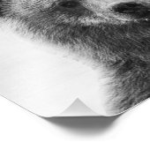 Beer Foto Afdruk (Hoek)