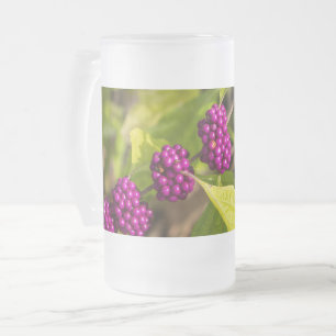 Beer Frosted Glass Mug
