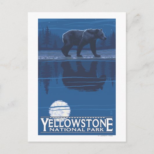 Beer in het Nationaal Park Moonlight - Yellowstone Briefkaart (Voorkant)