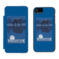 Beer in het Nationaal Park Moonlight - Yellowstone