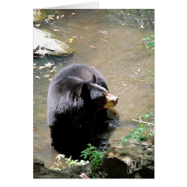 Beer-kaart (Voorkant)