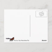 Beer Lake Reflectie I Briefkaart (Achterkant)