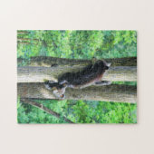 Beer Legpuzzel (Horizontaal)