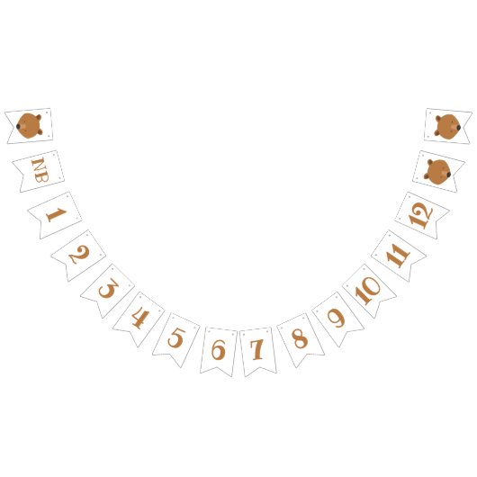 Beer maanden eerste verjaardag vlaggetjes (Alle)