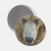 Beer Magneet (Voorkant / Achterkant)