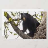 Beer met klimmen briefpapier (Voorkant / Achterkant)