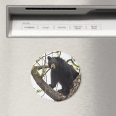 Beer met klimmen magneet (Insitu (Vaatwasser))