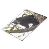 Beer met klimmen notitieblok (Schuin)