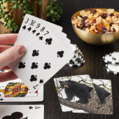 Beer met klimmen pokerkaarten (Insitu)