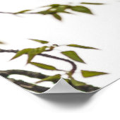 Beer met klimmen poster (Hoek)