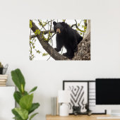 Beer met klimmen poster (Thuiskantoor)