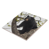 Beer met klimmen tegeltje (Zijkant)