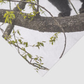 Beer met klimmen tissuepapier (Detail)