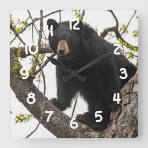 Beer met klimmen vierkante klok