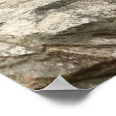 Beer met sleuf foto poster (Hoek)