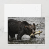 beer met zalm in zijn mond briefkaart (Voorkant / Achterkant)