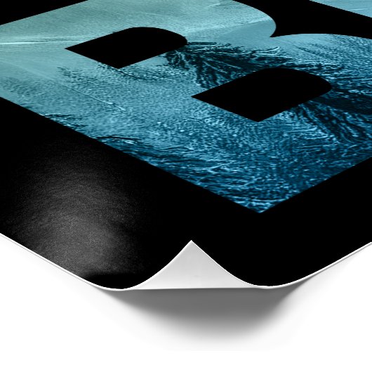 BEER  NATUUR WILD FOREST ZONSONDERGANG PERFECT POSTER (Hoek)