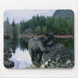 Beer Ontwerp voor Dier en Wildlife-Supporters Muismat