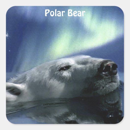 Beer Ontwerp voor Dier en Wildlife-Supporters Vierkante Sticker (Voorkant)