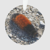 Beer Ornament (voorkant)