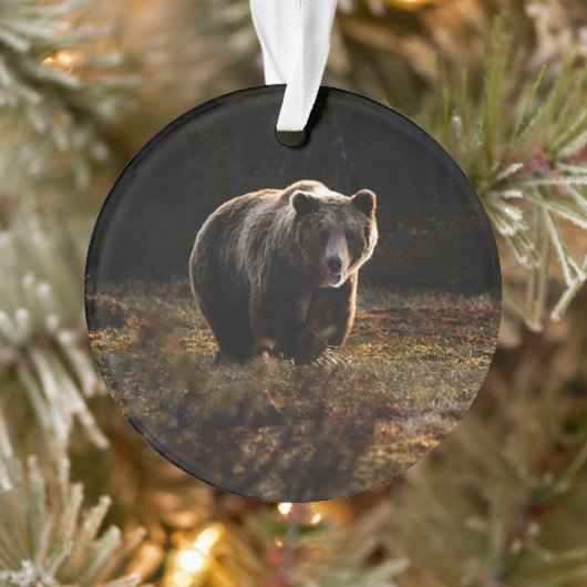 Beer Ornament (Boom)