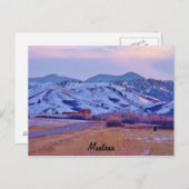 Beer Paw Briefkaart (Voorkant / Achterkant)