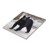 Beer Pennsylvania Black in Winter Tegeltje (Zijkant)