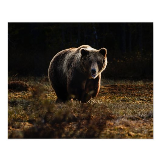 Beer Perfect Poster (Voorkant)