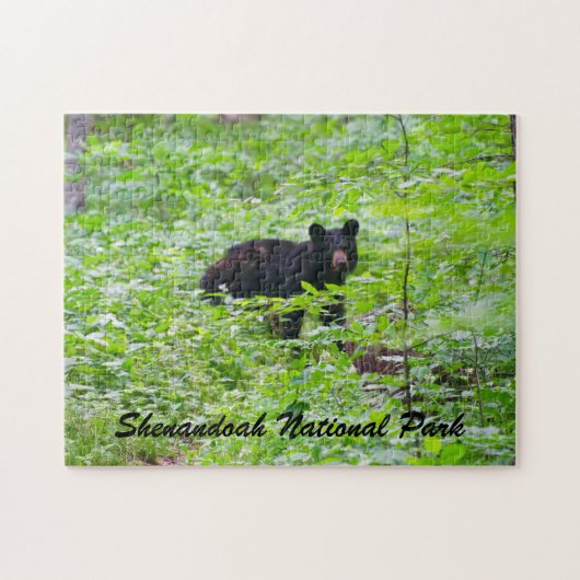 Beer - Shenandoah National Park Legpuzzel (Horizontaal)